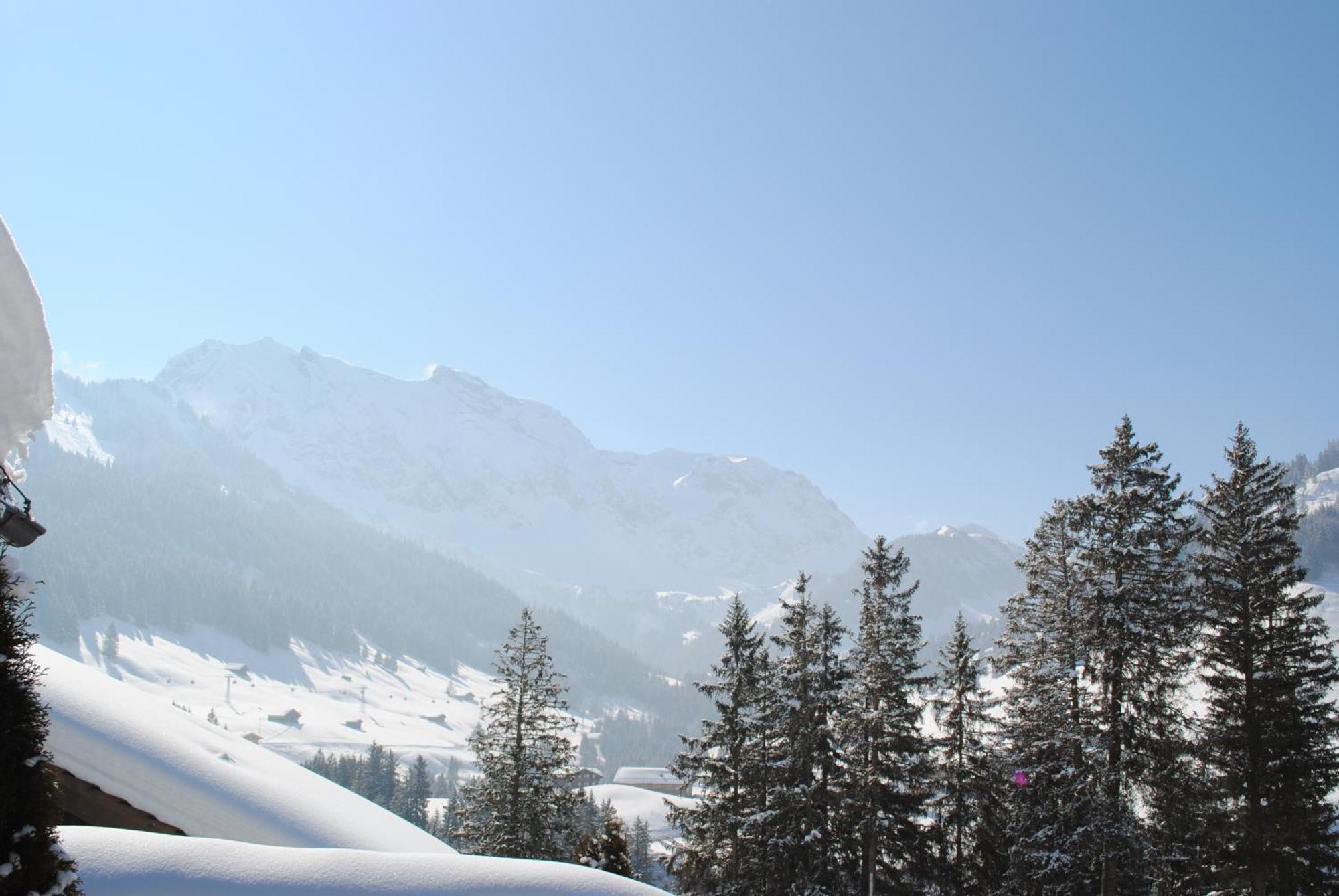 Apartment Nadeschda Adelboden Exteriör bild